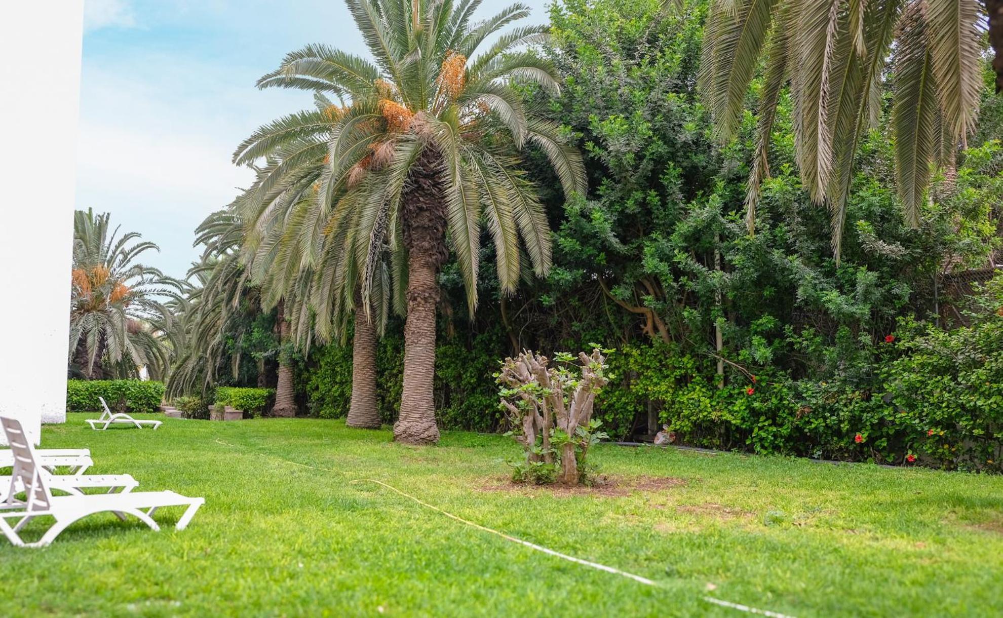 Hamilton Agadir Ξενοδοχείο Εξωτερικό φωτογραφία